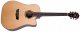 Washburn Woodline WLD10SCE-O-U